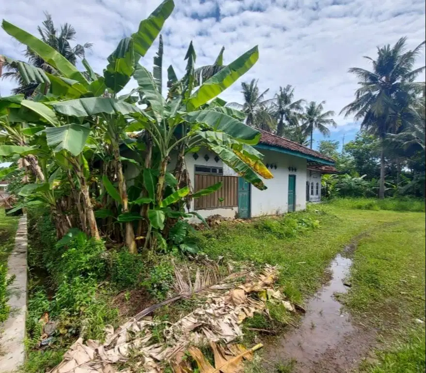 Dijual cepat tanah seluas 1708 Meter (122 bata)