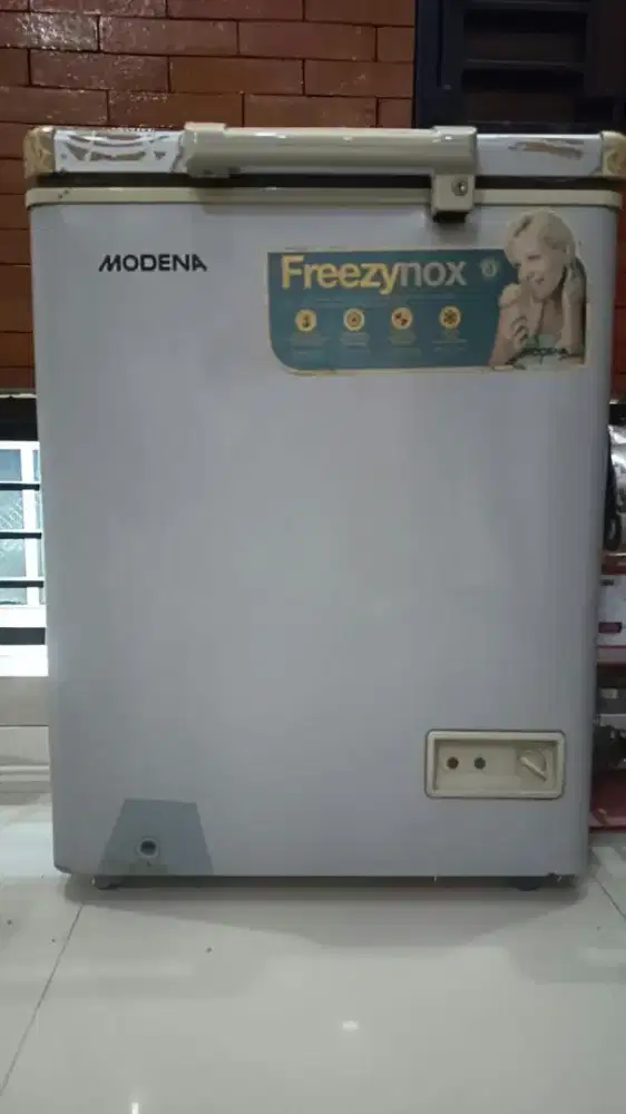 Frezeer Modena 100 L