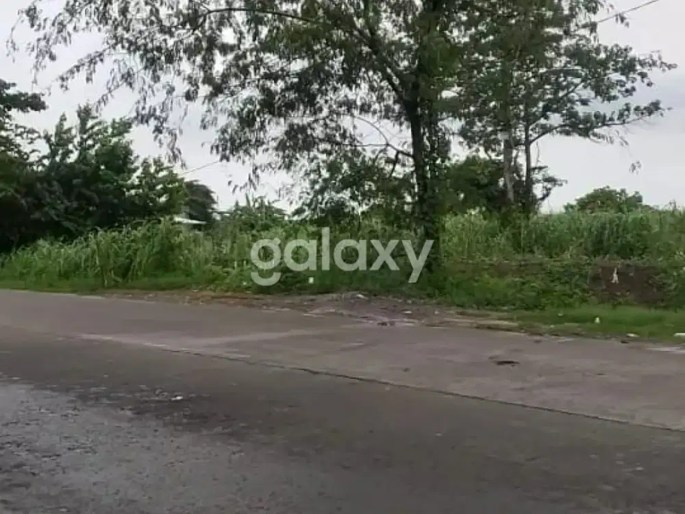 Tanah Morowudi Cerme Gresik