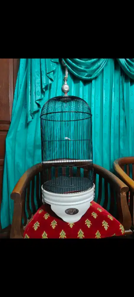 Sangkar Love Birds BNR klasik