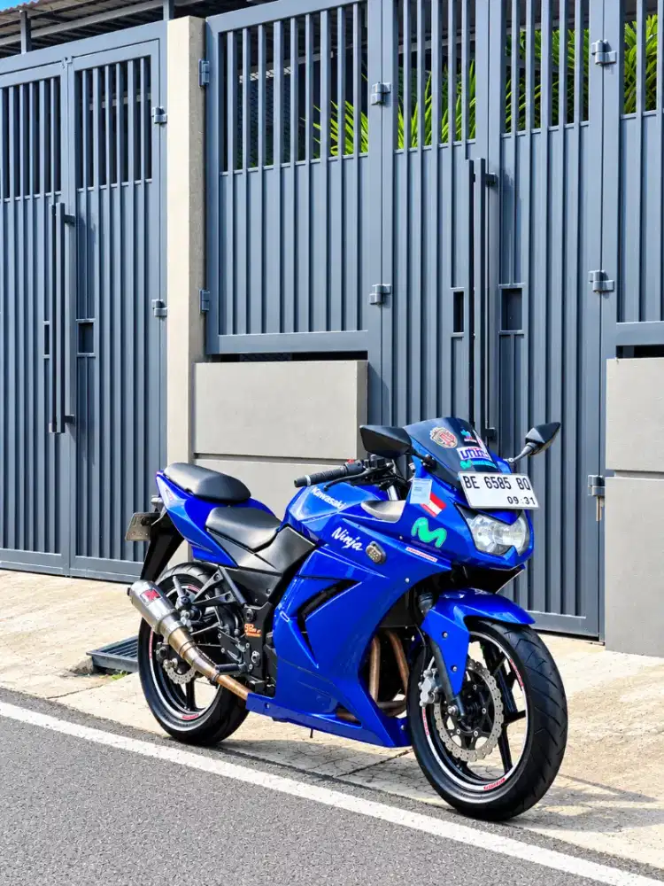 Kawasaki Ninja 250 Karbu