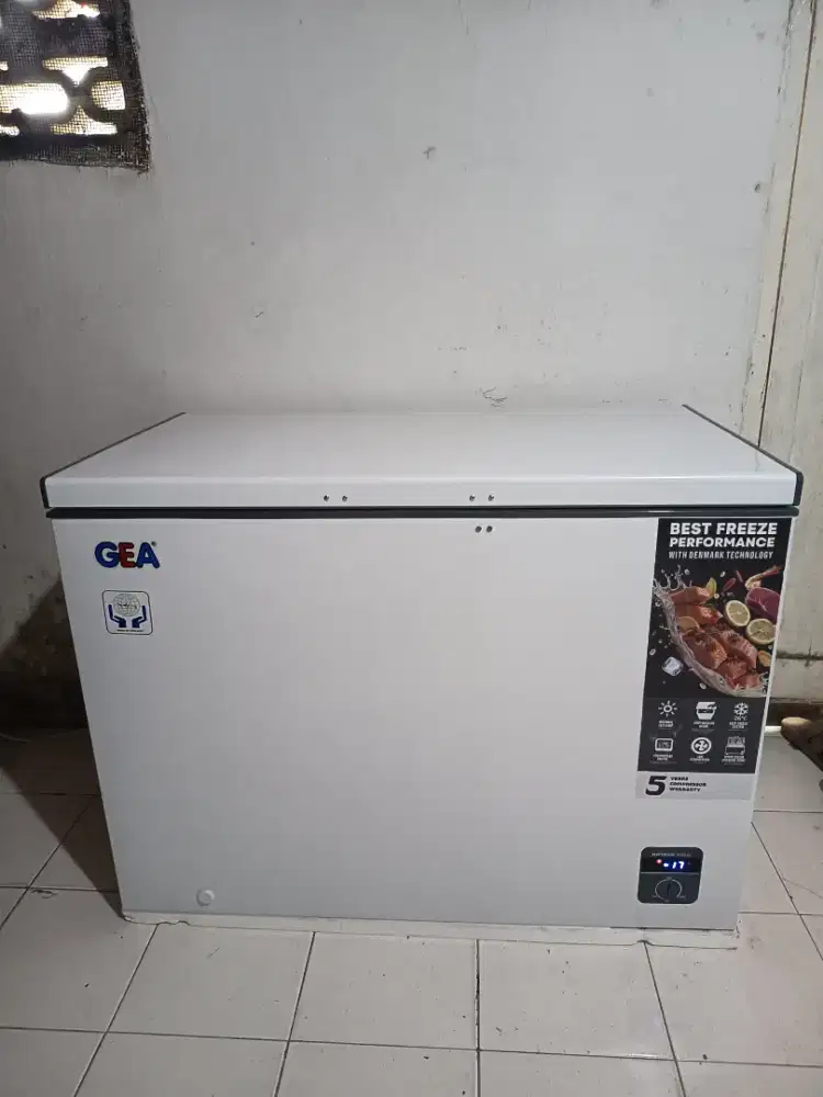 Freezer Box Gea 318L