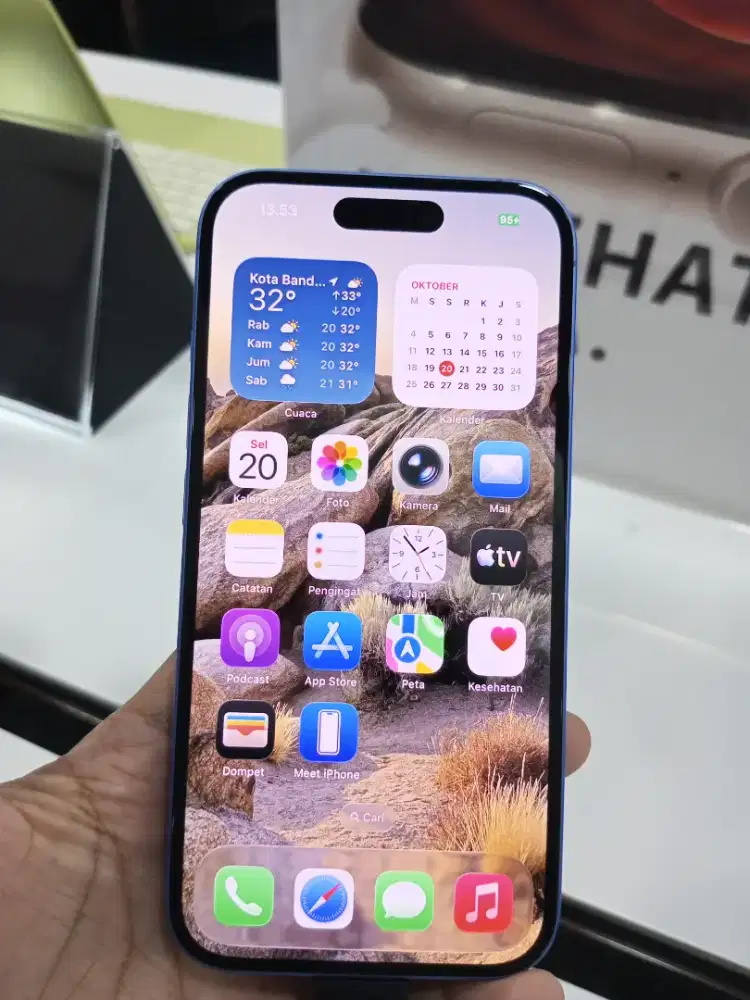 iPhone 16 256GB