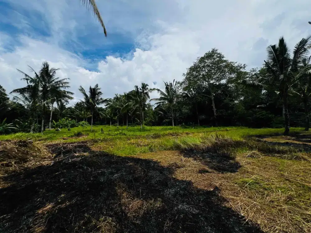 Tanah Kav Payangan Ubud Bali