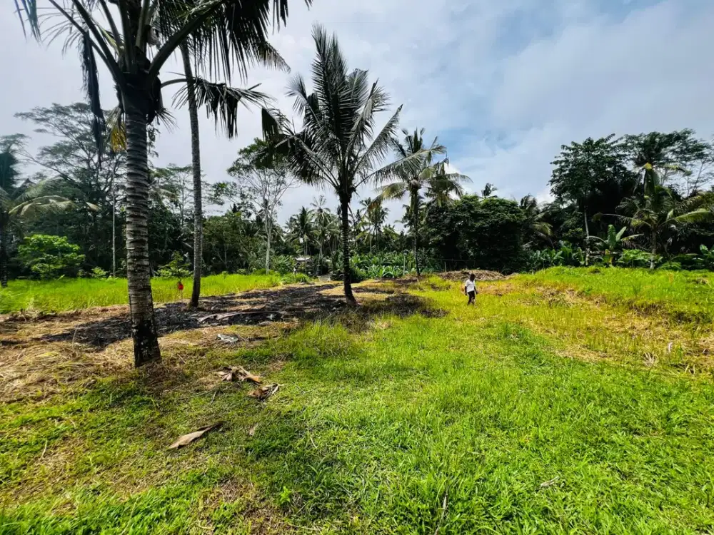 Tanah kavling payangan ubud