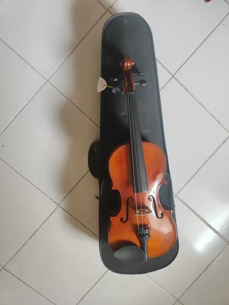 Biola MV007 3/4 muluss