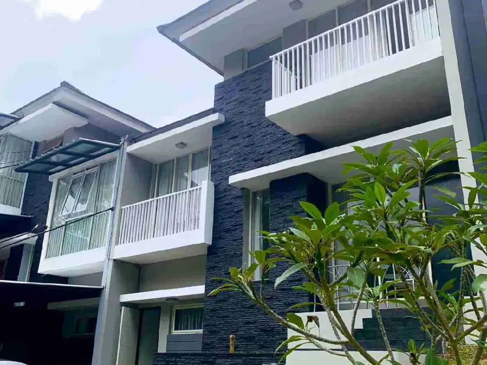 Forest Hill (DAGO RESORT)