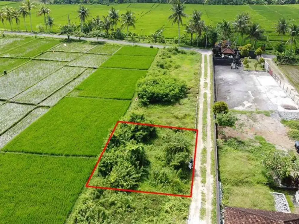 Tanah view sawah tabanan