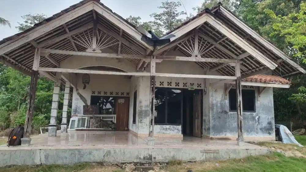 Rumah Kampung + tanah, suasana asri