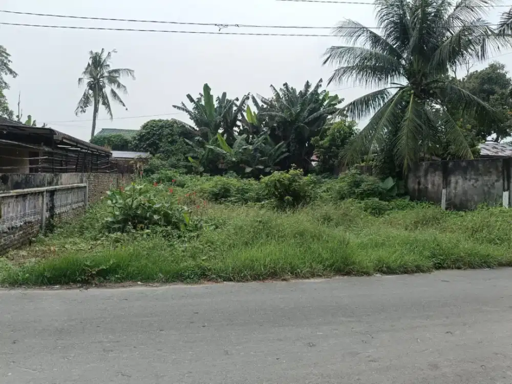 Dijual Tanah milik sendiri tanpa perantara