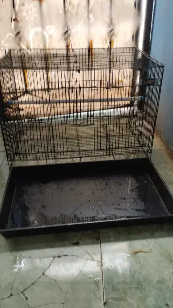 Kandang burung besi kokoh