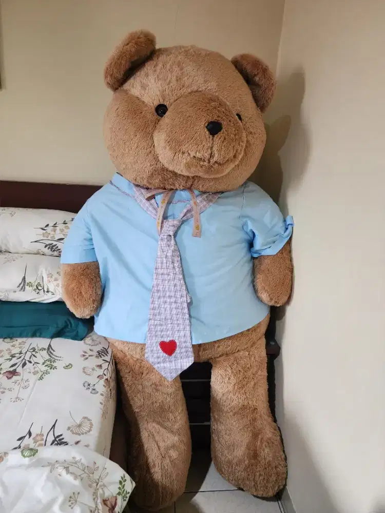 Preloved teddy house