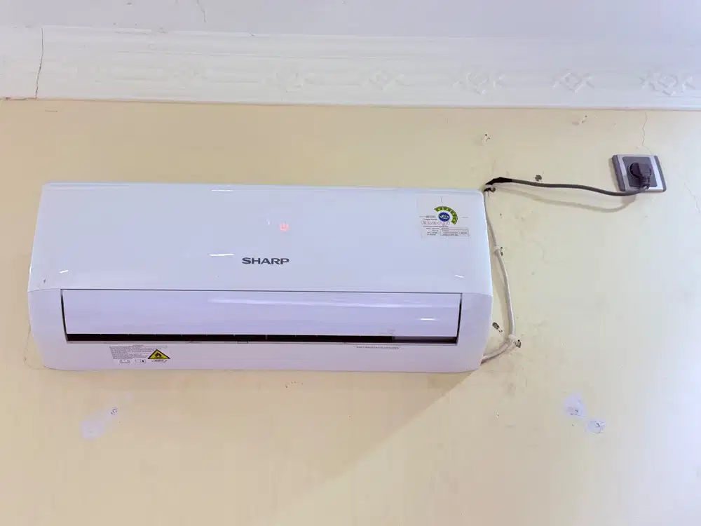 AC sharp 1/2 PK