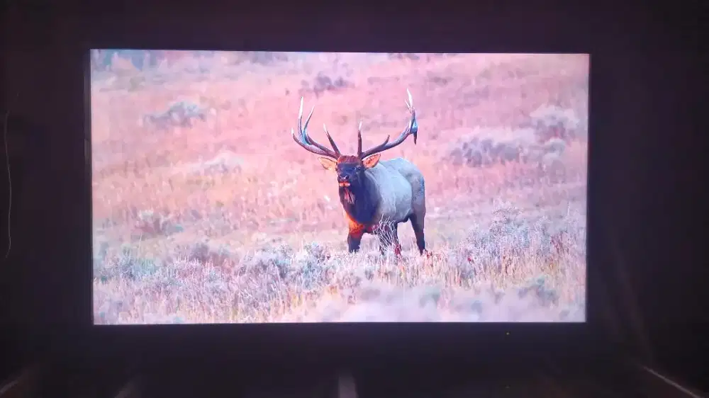 TV LED Coocaa 40