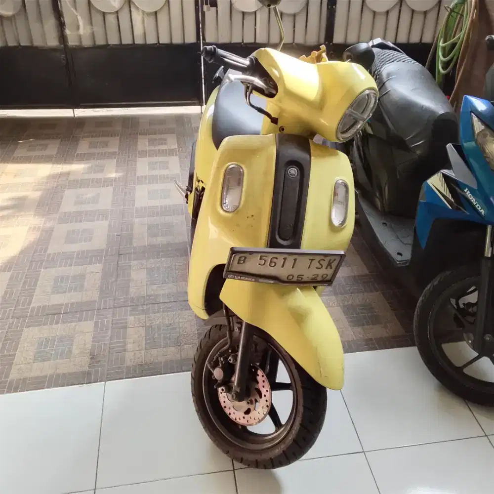 Dijual fazzio thn 2024
