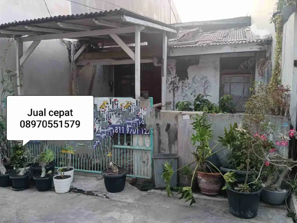Jual cepat rumah lebar 5 itung harga tanah di kelapa gading jakut