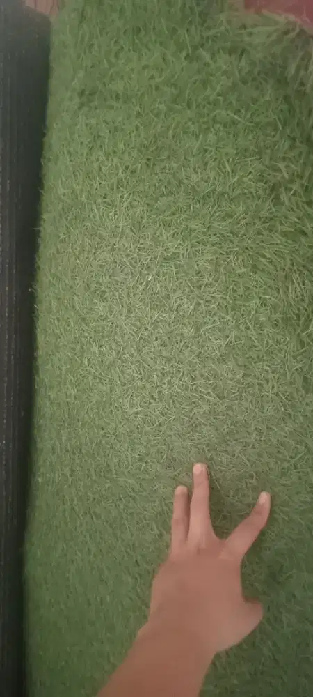 Karpet rumput & karpet coklat