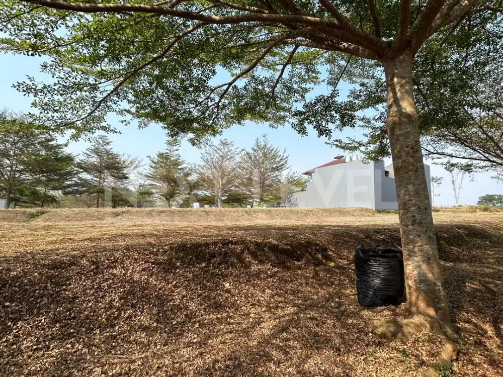 Tanah Dijual The Araya Malang Cluster Palm Valley