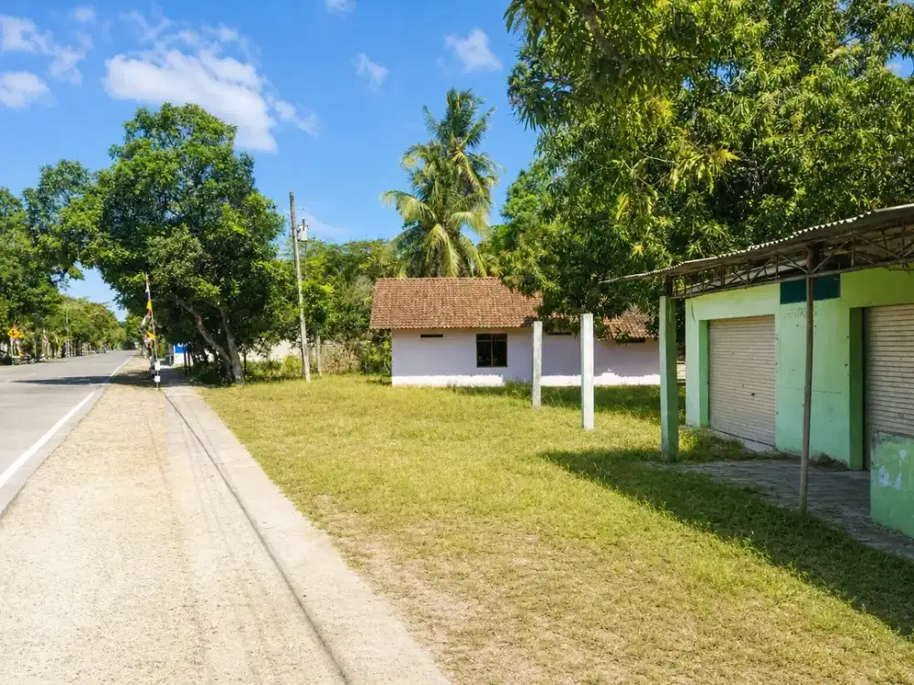 Tanah Dijual di Purwodadi, Purworejo