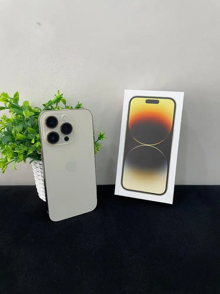 IPhone 14 Pro 256GB Gold mulus Fullset BH 85% Imei Bea Cukai Permanent