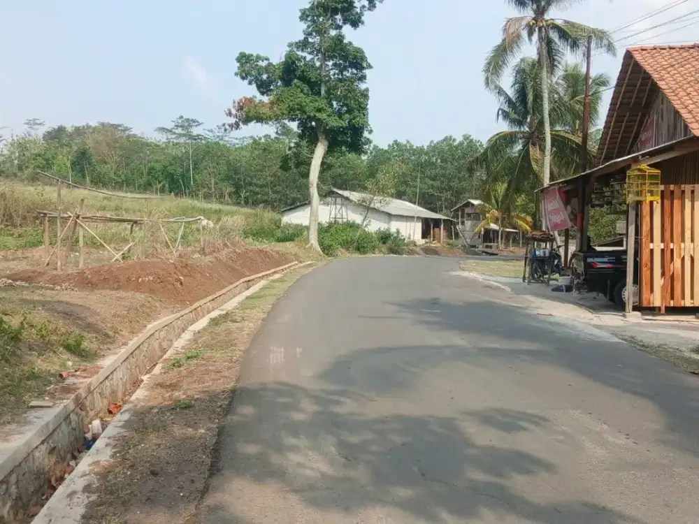 dijual lahan pinggir jalan 4ha