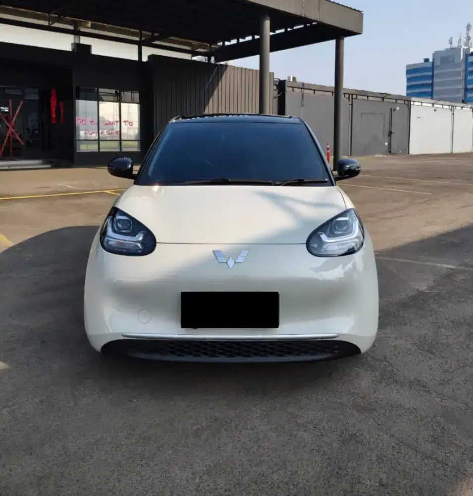 Wuiling Binguo Lite EV Range Nik 2025