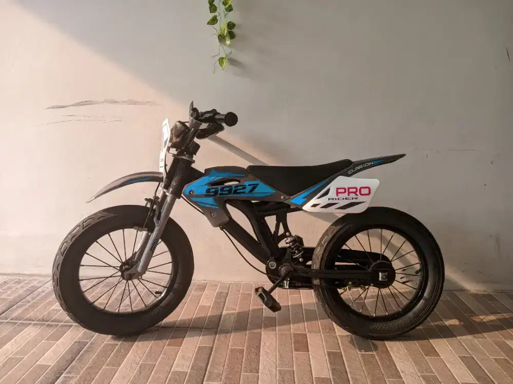 Jual sepeda anakk