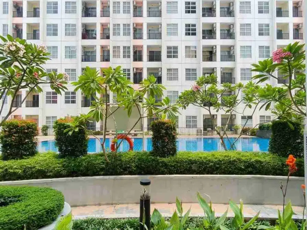 apartemen Saveria 1 BR depan Swimming pool murah BSD city