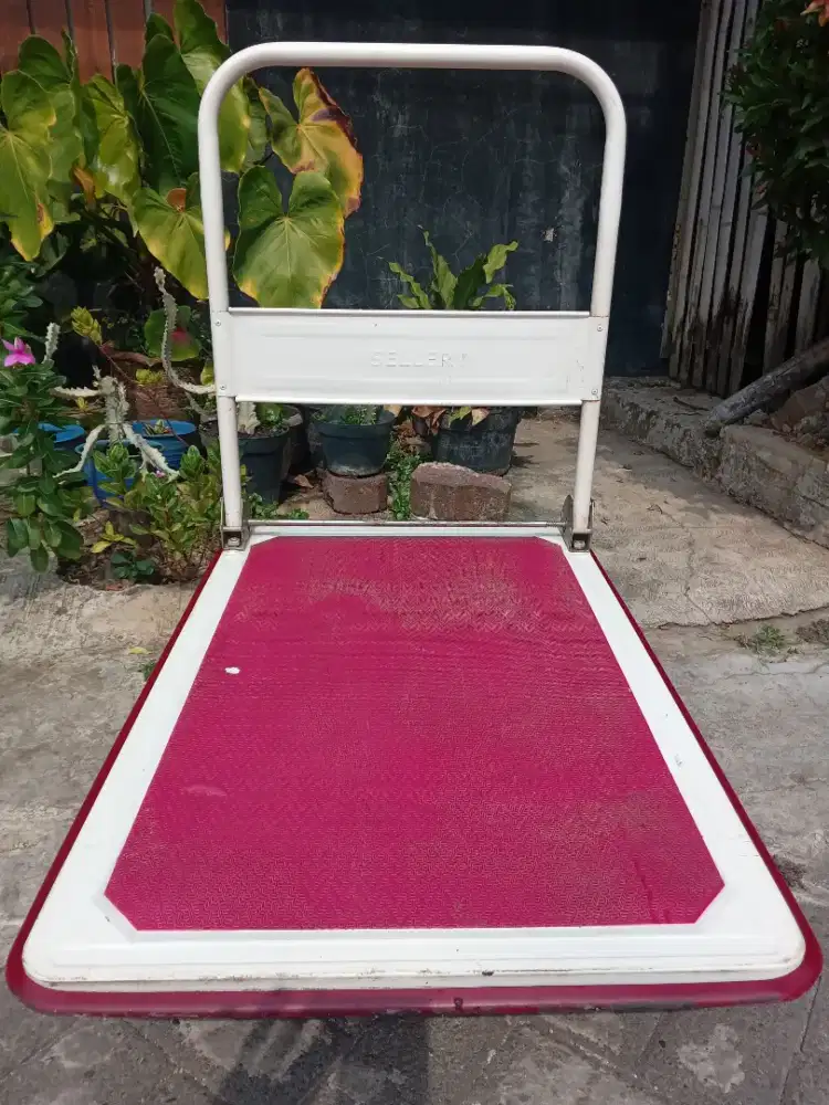 Troli Lipat Sellery 300 kg