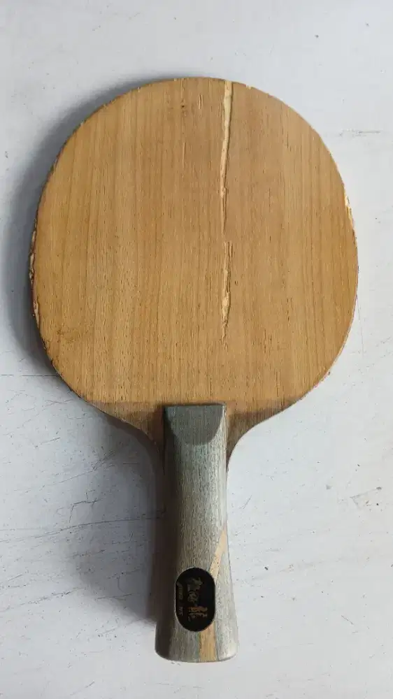 Kayu tenis meja DHS malong5