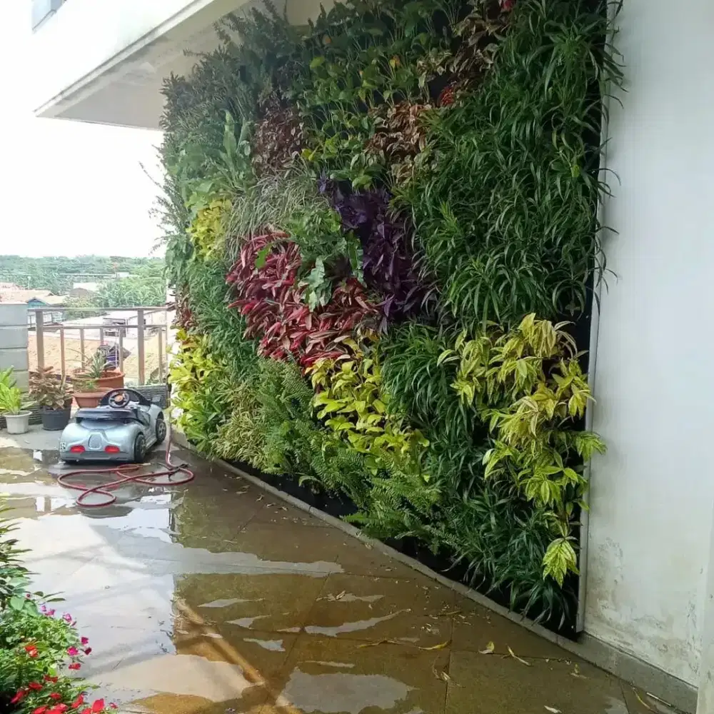Tukang pasang tanaman vertical