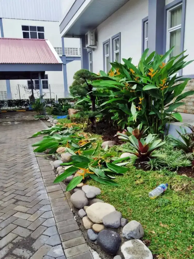 Tukang perapihan taman / tanaman