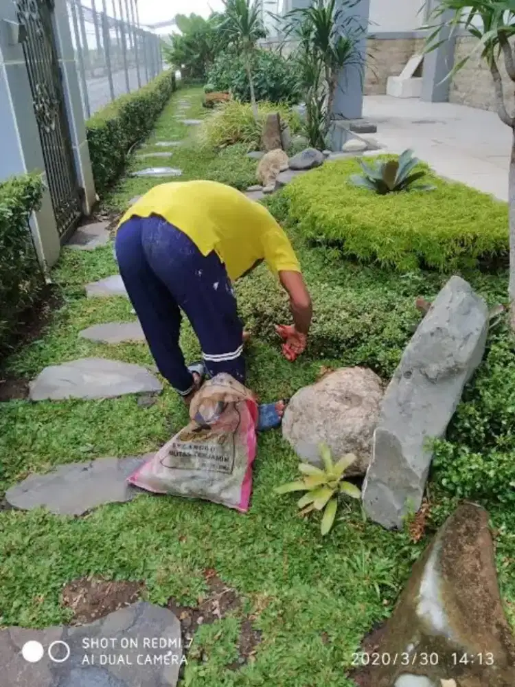 Tukang kebun / taman
