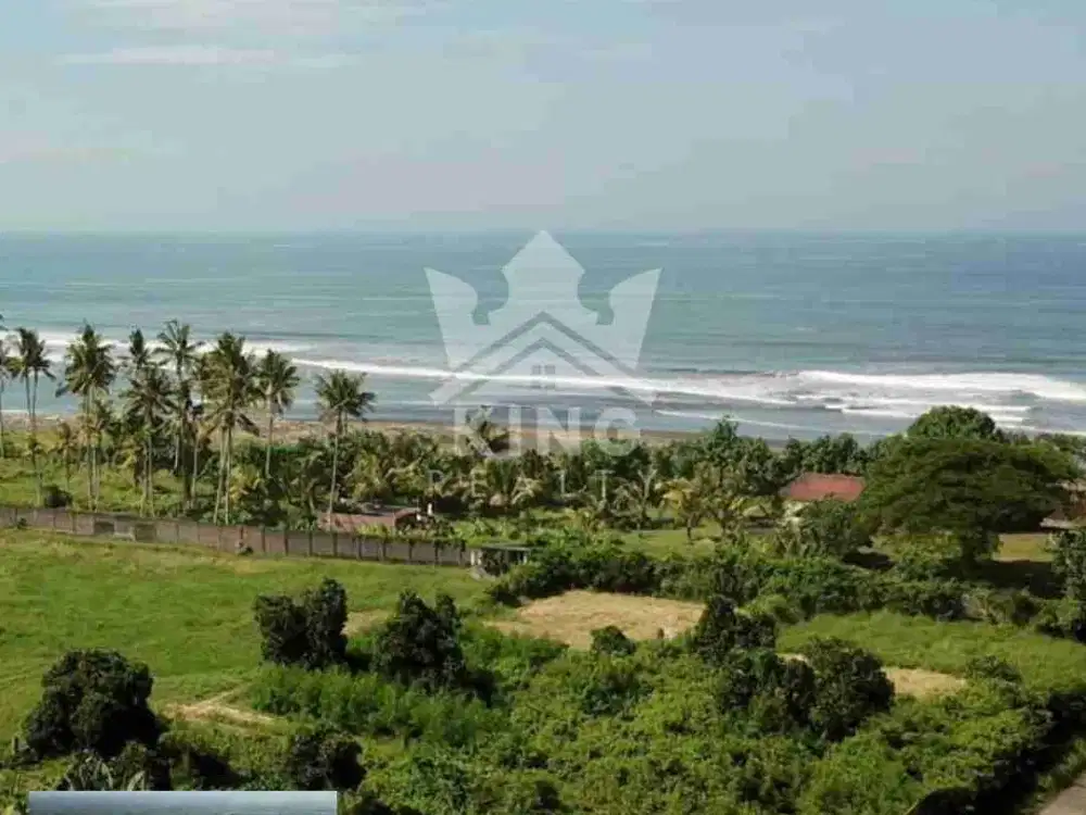 Di Jual Tanah Pinggir Pantai Lokasi Strategis Di Jembrana Bali