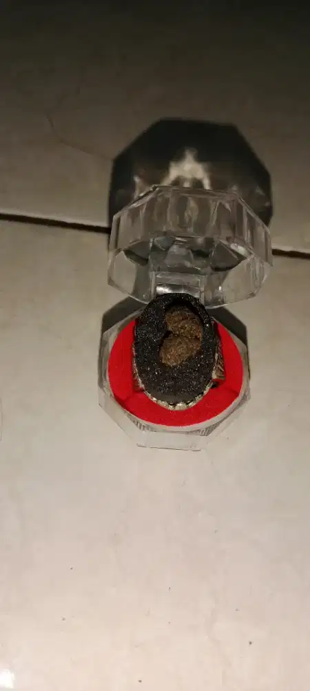 Natural Meteorite Unik