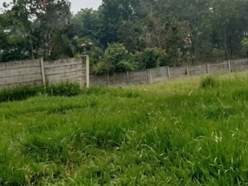 Investasi Lahan Industri Ds Taban Jembe Harga Menarik!