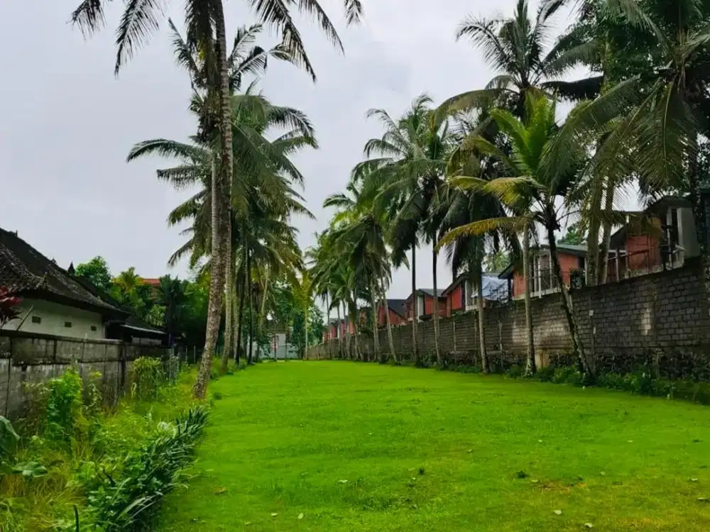 Tanah kedewataan ubud bali