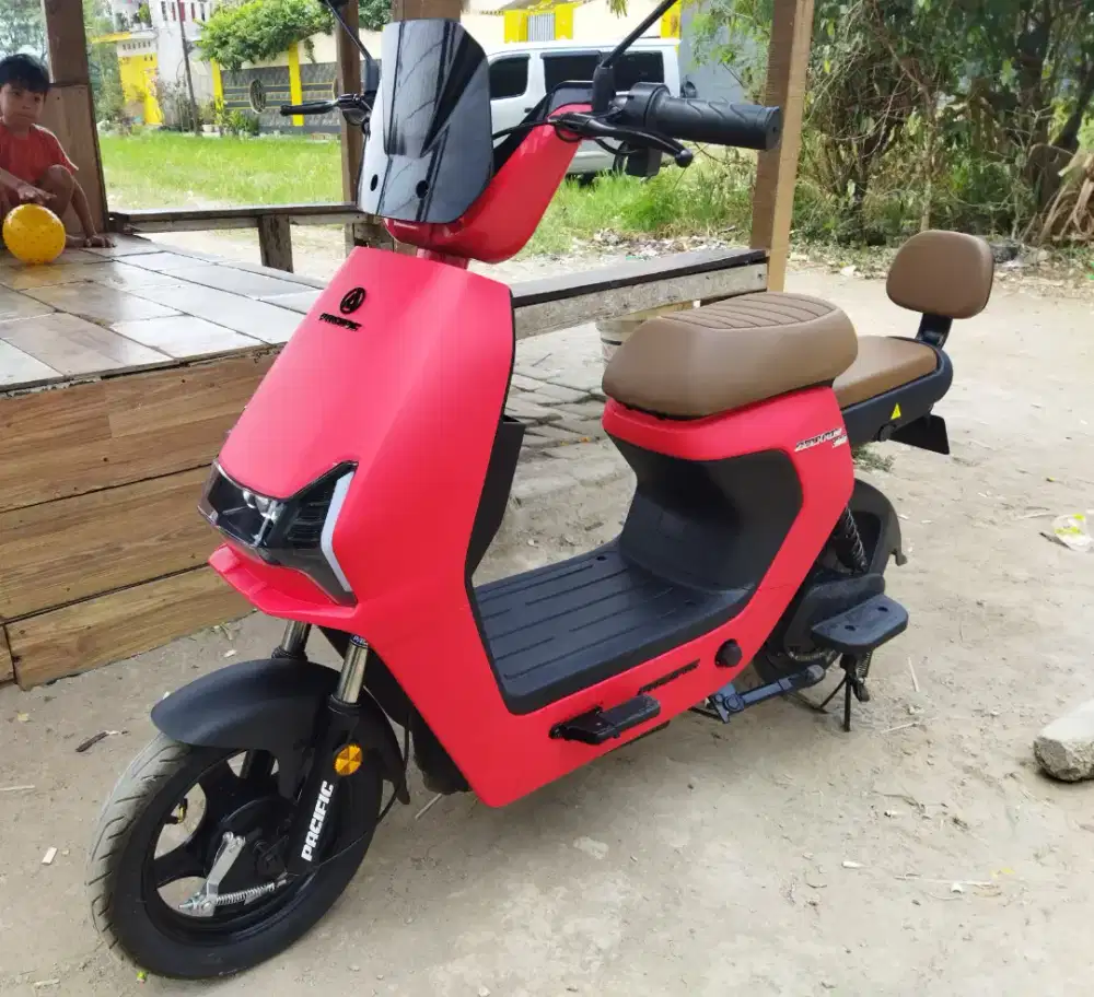 Sepeda Listrik Pasific Zeckrom 300