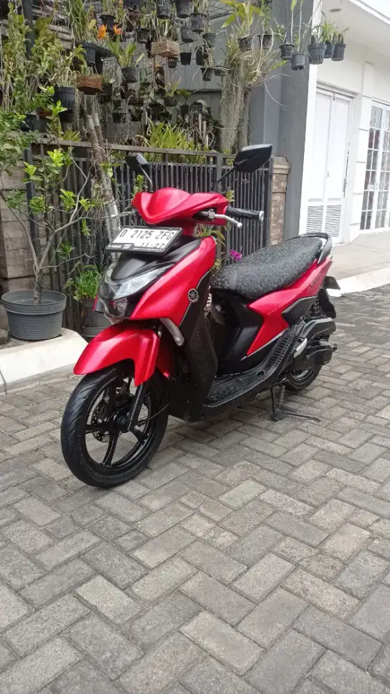 Yamaha gear 2022 type S