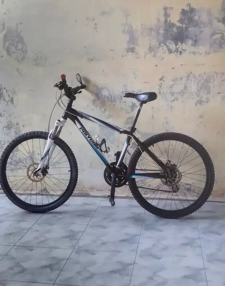 sepeda polygon primer 3,0