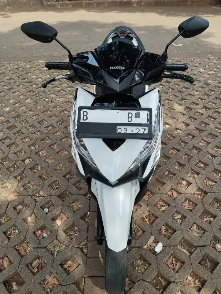 Motor Vario 2017