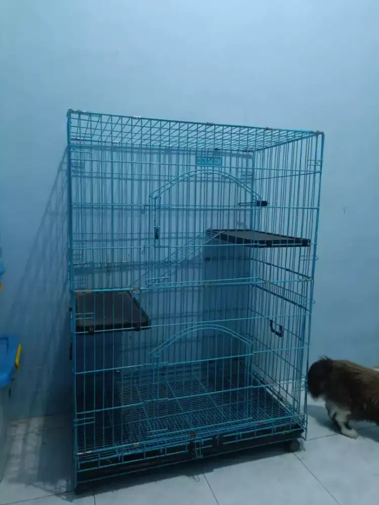 Kandang Kucing Besar