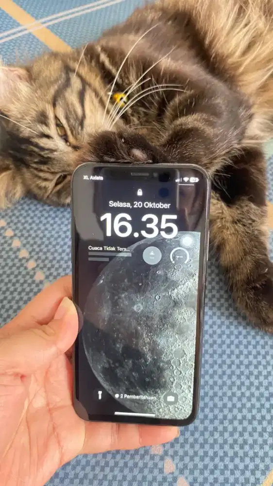 iPhone X 256Gb inter