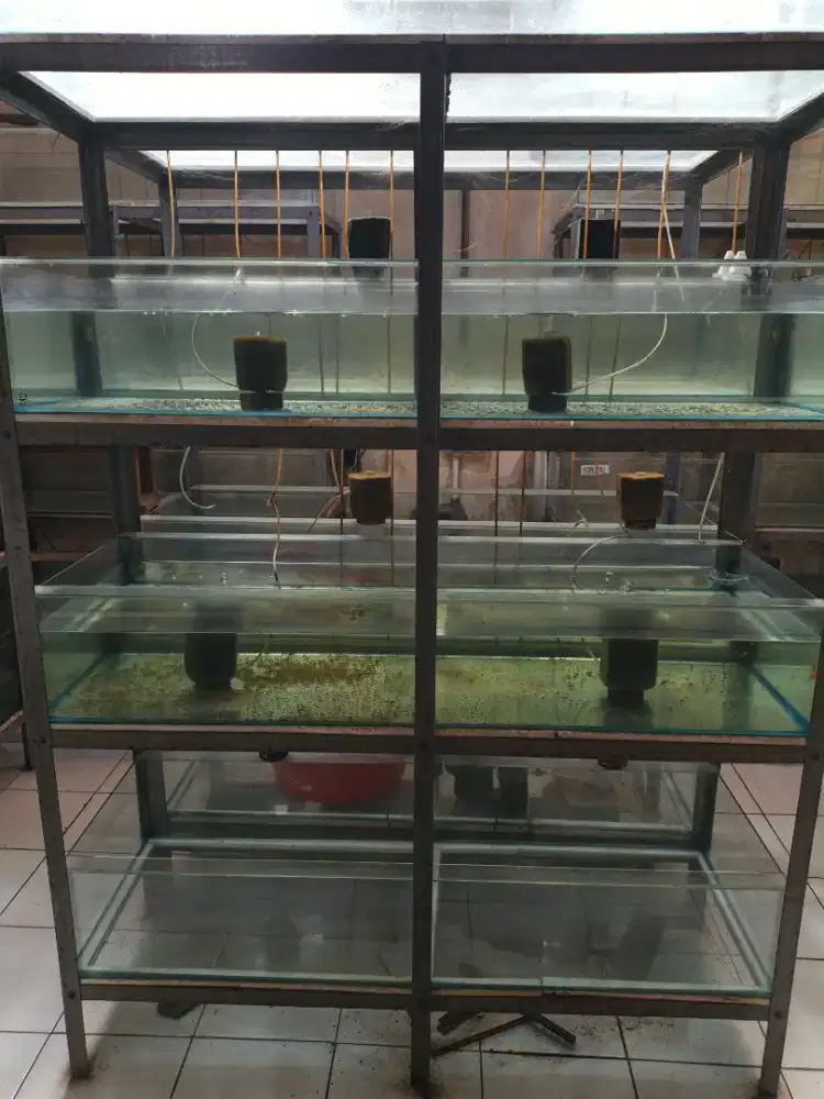 Dijual aquarium barang second