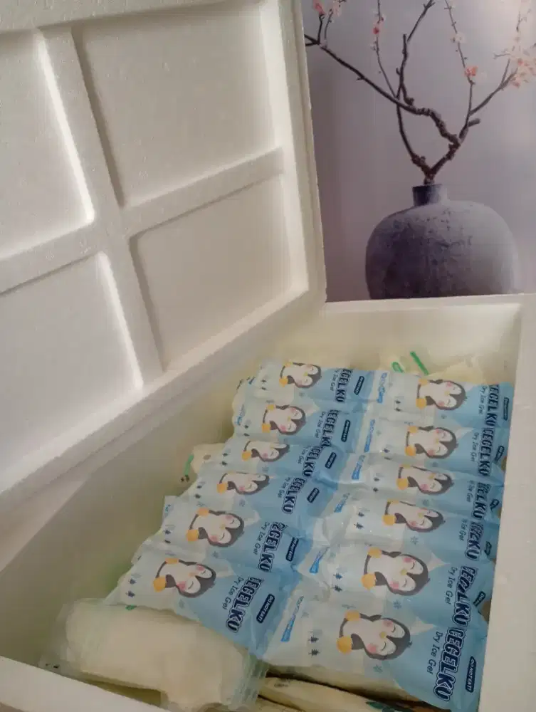 Sterofoam 33x32x51 kondisi mulus luar dalam bonus Ice Gel