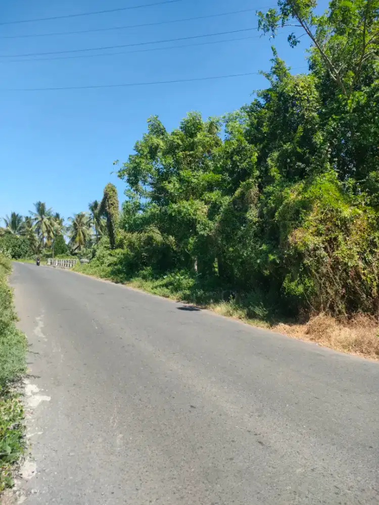 Tanah kebun 1 hektar 4 are, Rp. 3.5 Milyar