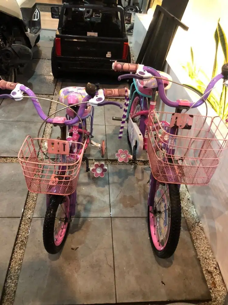 Sepeda Anak Perempuan Trex Unicorn