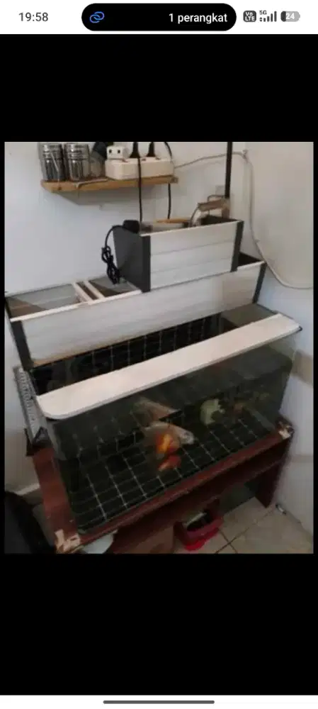 Aquarium Full Set, SIAP PAKAI