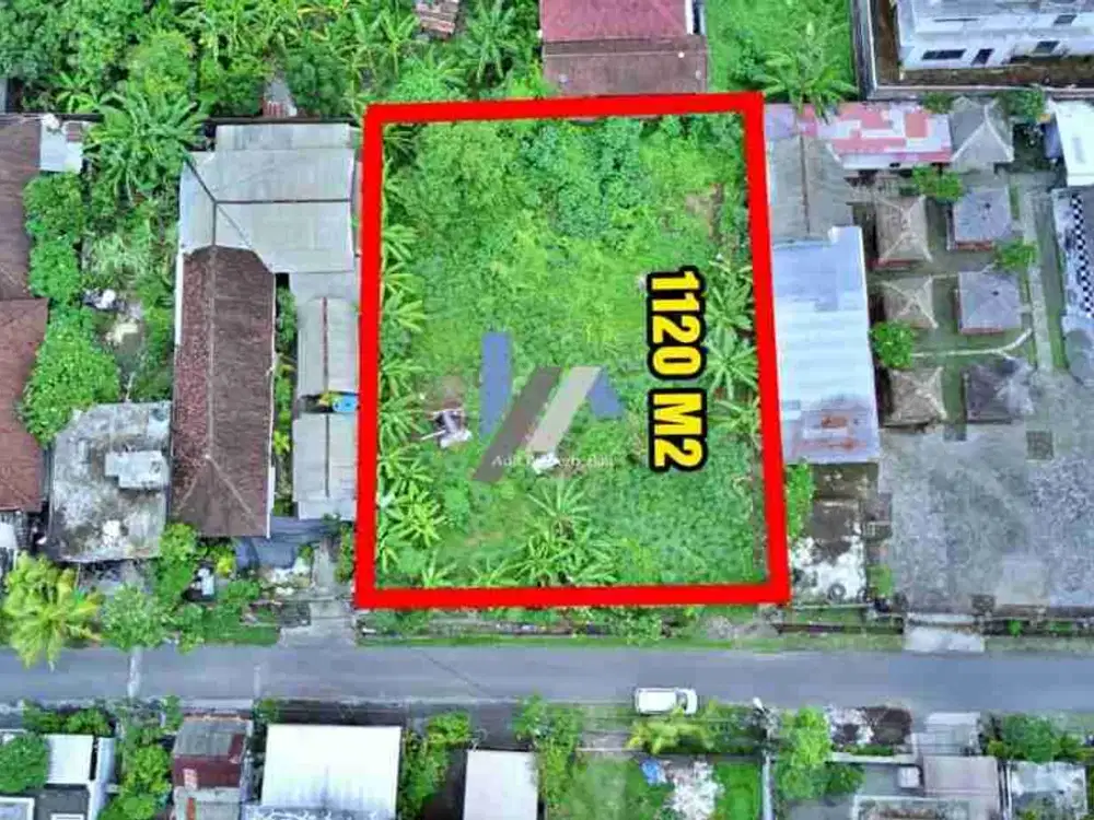 Tanah Drupadi renon