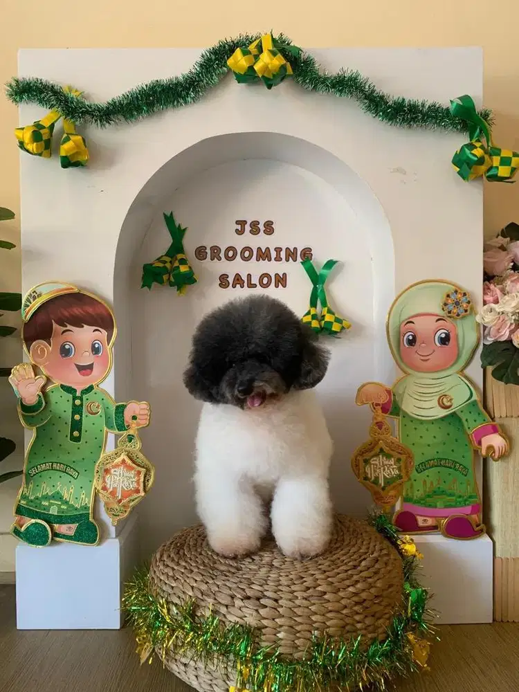 Pacak poodle podle party